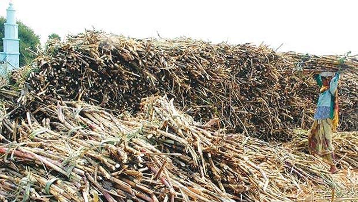 கரும்பு கொள்முதல் அறிவிப்பு எப்போது?