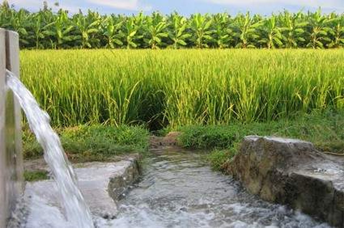 விவசாய மின் இணைப்புக்கு 4.50 லட்சம் பேர் காத்திருப்பு: மாற்றுக் கொள்கை அவசியம்