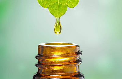 34.முகநோய்களில் கொடியது முகவாதம்