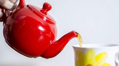 டிசம்பர் 15 - சர்வதேச தேயிலை தினம்!