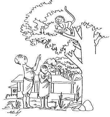 முத்துக் கதை: கொஞ்சம்  மரத்தின்  மேல் பார்!