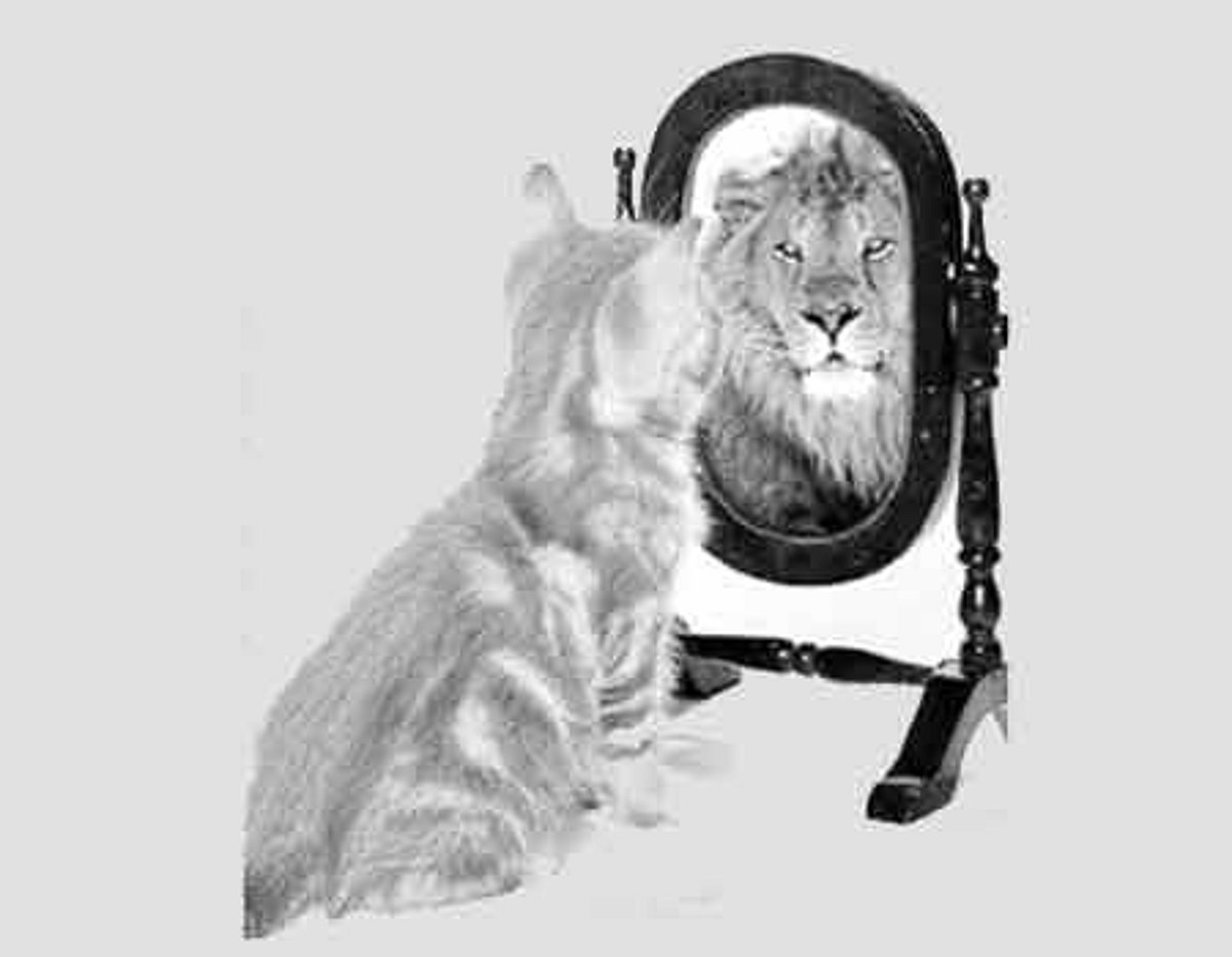 கதைப்பாடல்: நூற்றுக்கு நூறு