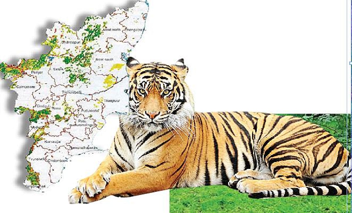 விஷம் வைத்துக் கொல்லப்பட்ட 9 புலிகள்!