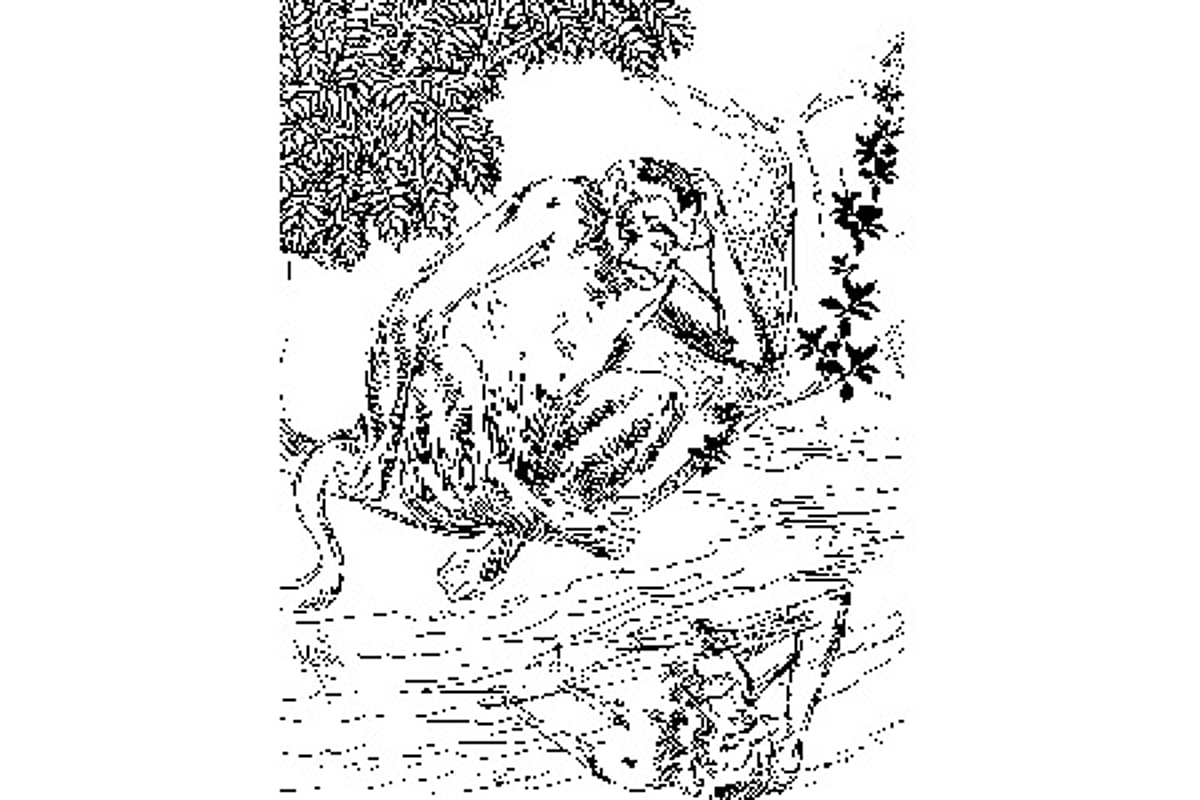 இது சங்கப் புலவரின் கற்பனை அல்ல!