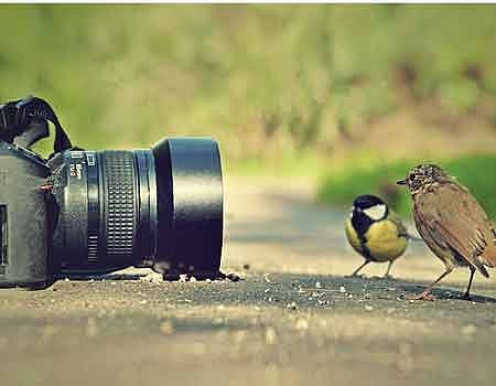 கேமரா இருந்தால் போதும்!