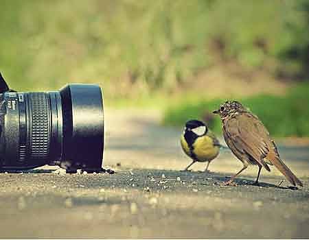 கேமரா இருந்தால் போதும்!