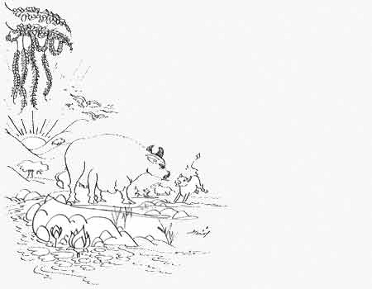 கதைப்பாடல்: காலைப் பொழுது!