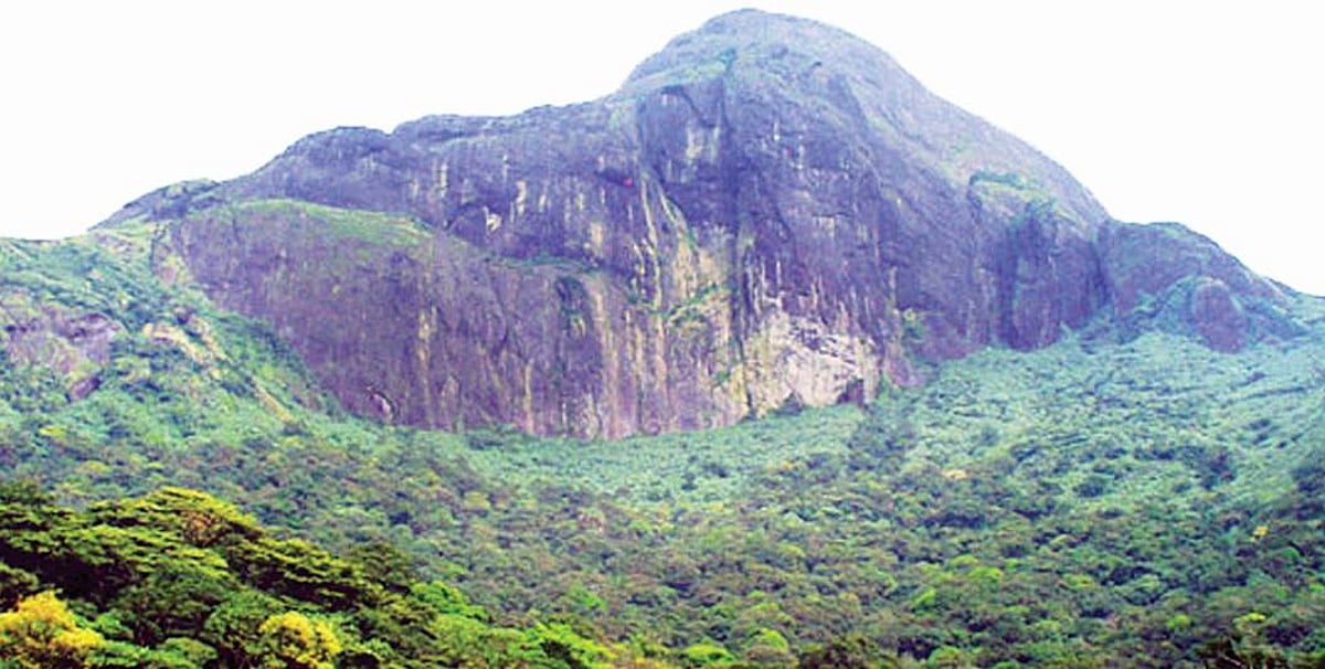யுனெஸ்கோ பாதுகாக்கப்பட்ட வனப் பகுதி பட்டியலில் அகஸ்தியர்மலை!