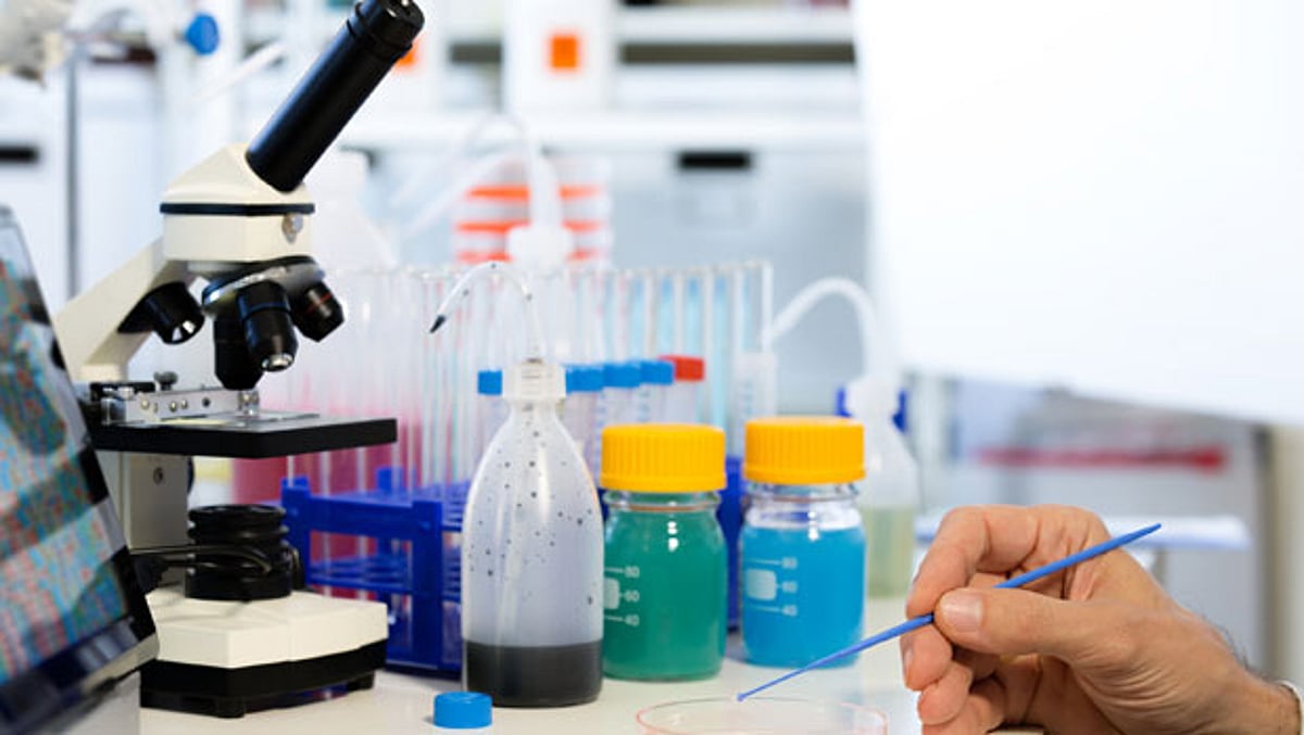 உணவுப் பொருட்களை ஆய்வு செய்யும் பயிற்சி!