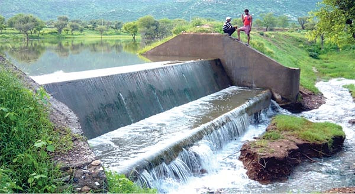 பாலைவனம் சோலை ஆனது!