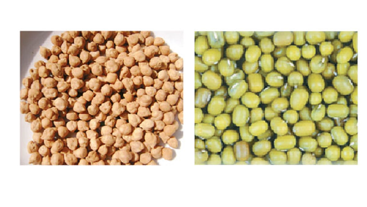 ஆயுள் காக்கும் ஆயுர்வேதம்