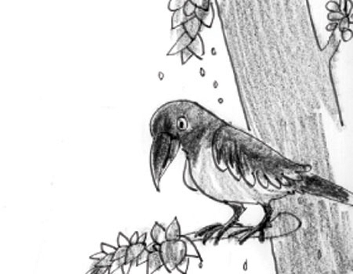 பிளாக்கியின் பயம்!