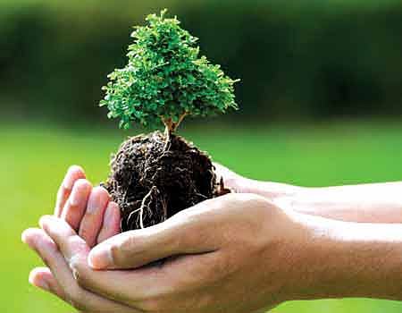 இணைய வெளியினிலே!