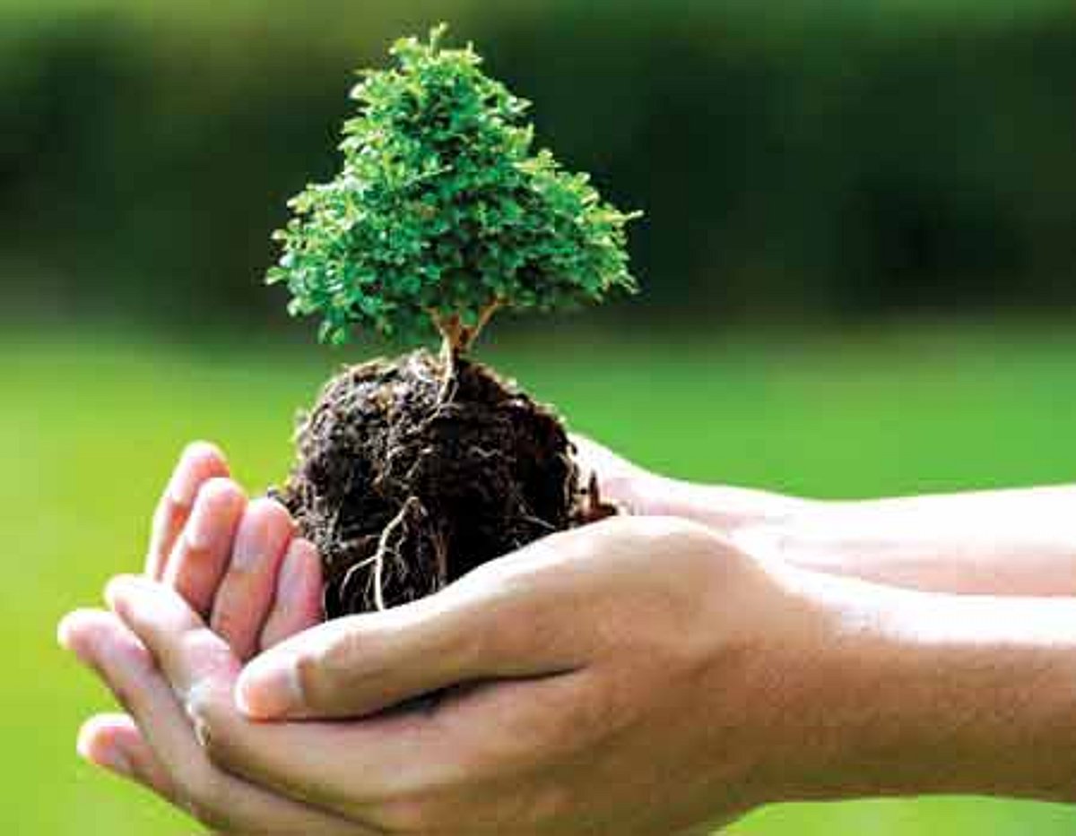 இணைய வெளியினிலே!