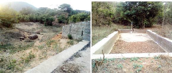 தாகத்தால் வன விலங்குகள் பரிதவிப்பு: நடவடிக்கை எடுக்குமா வனத் துறை? 