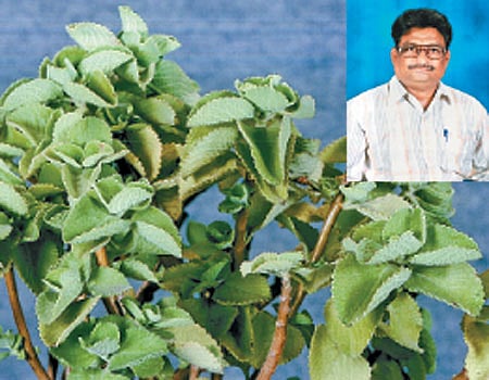 புதுமைகளைப் புகுத்துபவர்!