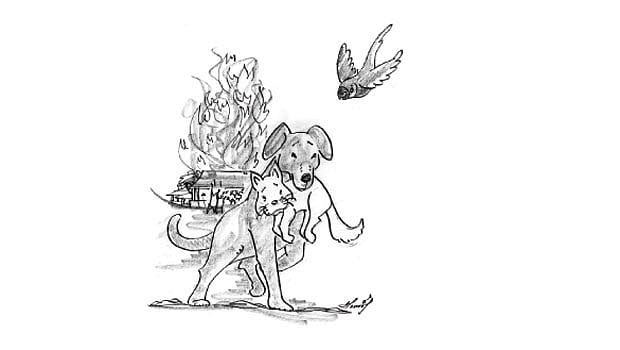 கதைப்பாடல்: அன்பே உயிர் கொடுக்கும்!