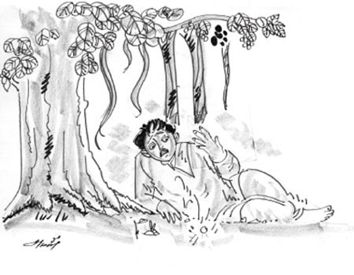 கதைப்பாடல்: இயற்கையின் விந்தை