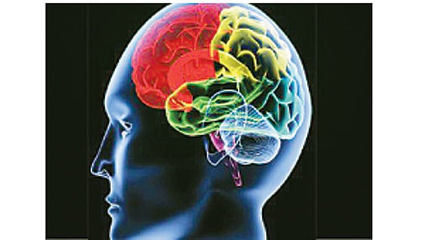 ஆயுள் காக்கும் ஆயுர்வேதம்: மூளைப் பகுதியை வலுப்படுத்த...