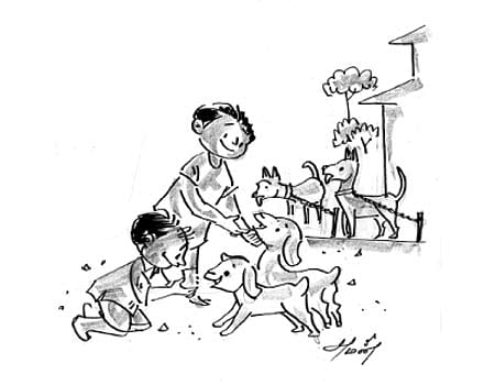 முத்துக் கதை: புதிய தீர்ப்பு