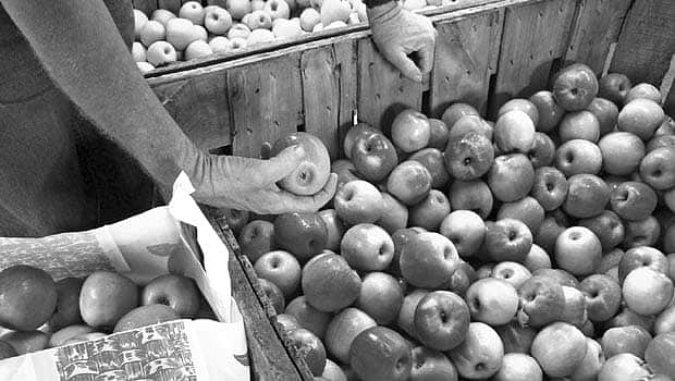 வளர்ந்து வரும் பேக்கேஜிங் துறை!