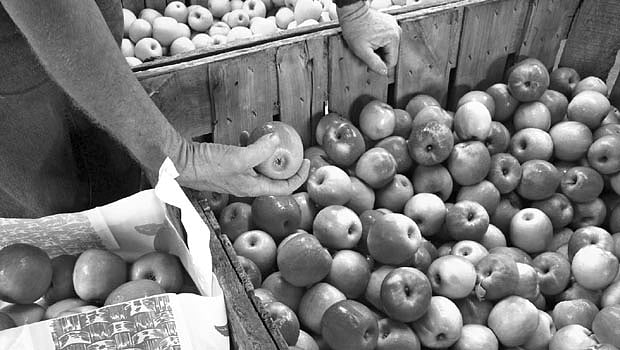 வளர்ந்து வரும் பேக்கேஜிங் துறை!