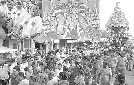 அபூர்வ மூலிகைகள் நிறைந்த கொல்லிமலை வனம்