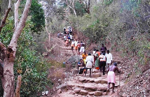 சதுரகிரி மலைக்கோயிலுக்குச் செல்ல பக்தர்களுக்குத் தடை!