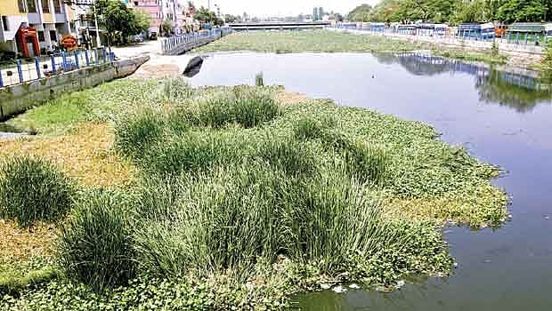 கால்வாய்கள் உண்டு; நீர் வெளியேற வழியில்லையே...!