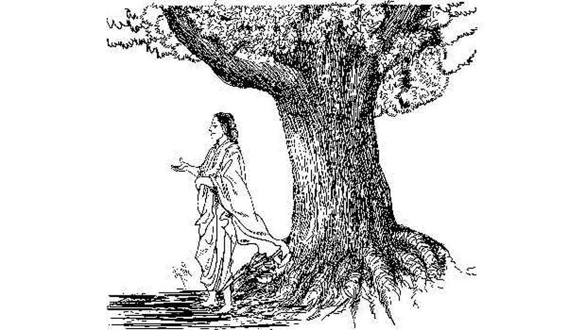 நிழலில் நீளிடைத் தனிமரம்!