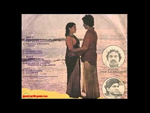 எச்சில் இரவுகள்