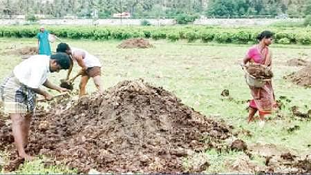இயற்கை வேளாண்மையை ஊக்கப்படுத்த வேண்டும்: விவசாயிகள் எதிர்பார்ப்பு
