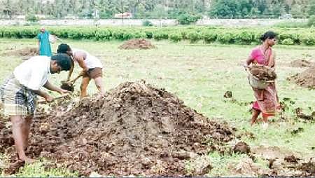 இயற்கை வேளாண்மையை ஊக்கப்படுத்த வேண்டும்: விவசாயிகள் எதிர்பார்ப்பு