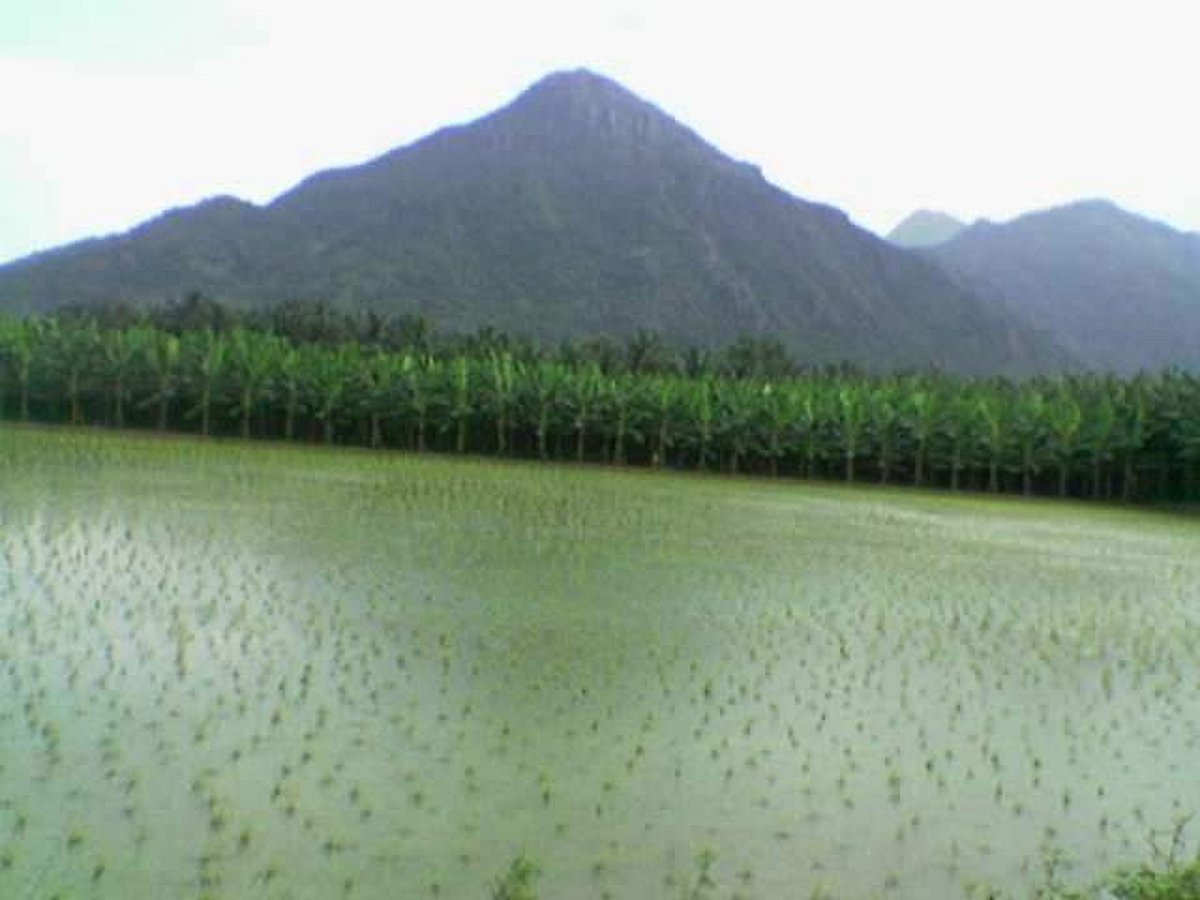 கவிதைமணி: இந்த வாரத் தலைப்பு "நெல்லுக் கிறைத்தநீர்"