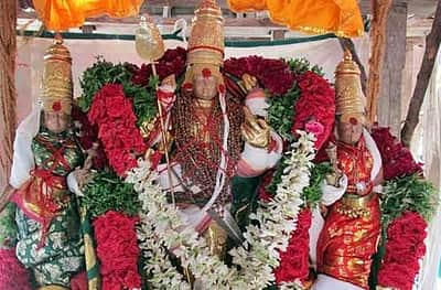 திருச்செந்தூர் சுப்பிரமணிய சுவாமி திருக்கோயிலில் ஆனி வருஷாபிஷேகம்