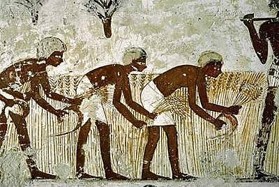 அத்தியாயம் 40 - நடுகற்கள் வகைகளும் வகைப்பாடும் - 33