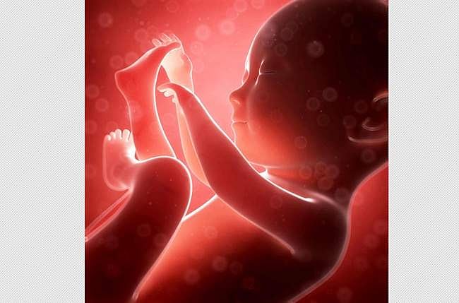 தாய்க்காக குழப்பக் கடலில் மிதந்து காத்திருக்கும் மனித கருக்கள்! 