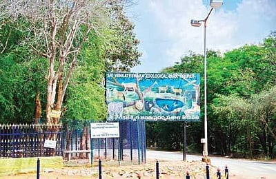 திருப்பதி மலைப்பாதையில் நாளை முதல் இருசக்கர வாகனங்களுக்குத் தடை!