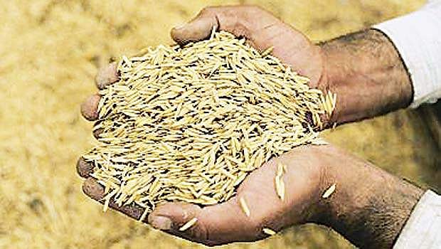 பலன் தருமா புதிய பயிர்க் காப்பீட்டுத் திட்டம்?