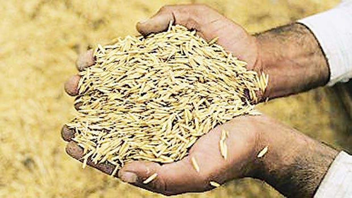 பலன் தருமா புதிய பயிர்க் காப்பீட்டுத் திட்டம்?