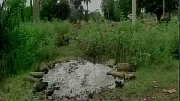 விறகு வாங்க பணமில்லை... குப்பைகளைக் கொண்டு மனைவி உடலை தகனம் செய்த கணவர்