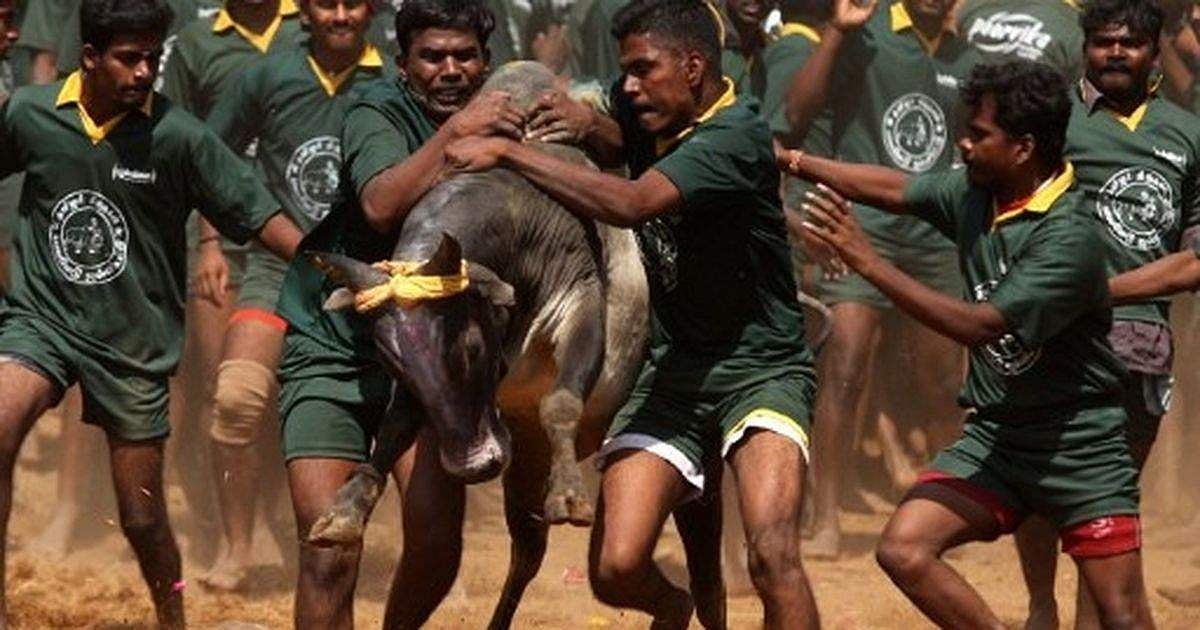 முட்டை விட முடியாத பெட்டைக் கோழியாய் எதை அடைகாக்கப்போகிறான்.. நாளைய தமிழன்!