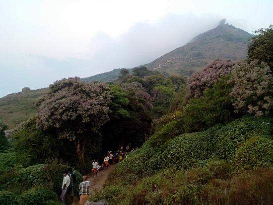 3. மார்கழியில் ஒரு மலைப்பயணம்! வெள்ளியங்கிரி!