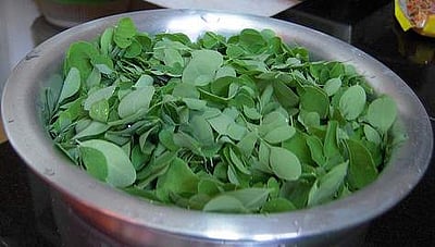 இன்றைய மருத்துவ சிந்தனை (18.1.2017) முருங்கைக் கீரை