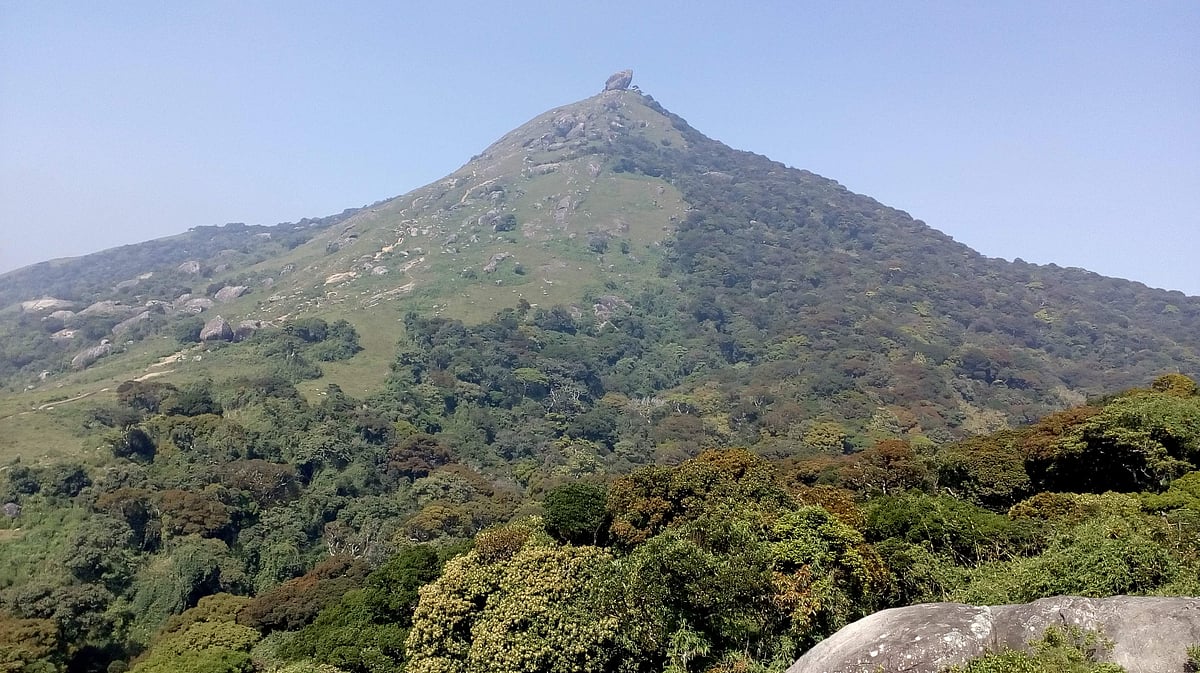 மார்கழியில் ஒரு மலைப்பயணம்! வெள்ளியங்கிரி!