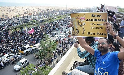 அவசர சட்டத்திருத்தம் பிறப்பிக்கப் பட்டாலும் பீட்டாவைத் தடை செய்தே ஆக வேண்டும். மீண்டும், மீண்டும் எங்கள் உரிமைகளில் தலையிட அவர்கள் யார்?