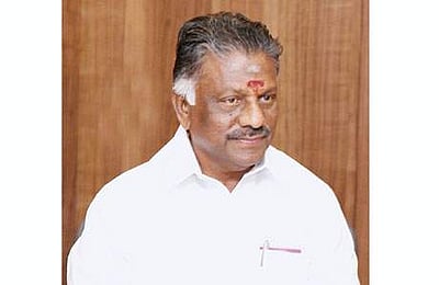 திமுகவினரின் எதிர்ப்புப் பேச்சு: அமைச்சருக்கு உதவிய ஓபிஎஸ்