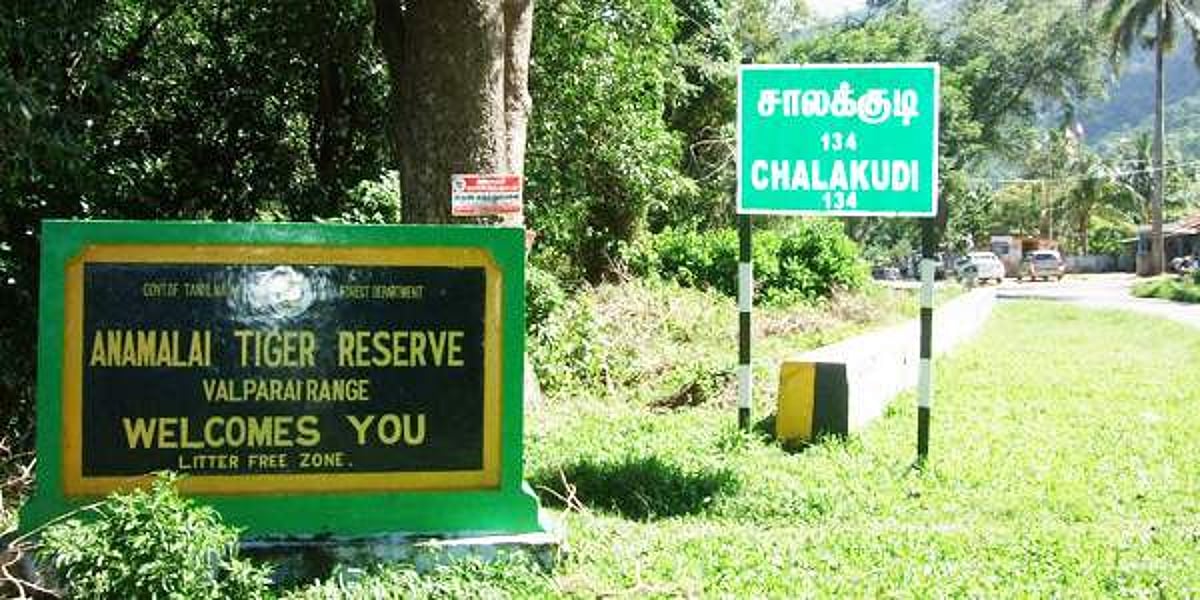 ஆனைமலை புலிகள் காப்பகத்தில் வறட்சியால் தீ விபத்து ஏற்படும் அபாயம்: மாநில விலங்கான வரையாடு உள்ளிட்ட விலங்குகளுக்கு ஆபத்து