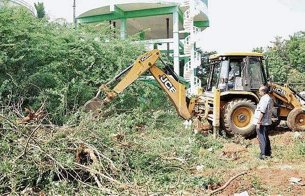 சீமைக்கருவேலத்தில் தீமையைக் காட்டிலும் நன்மை அதிகம் எனும் வாதத்தில் நிஜம் உண்டா?