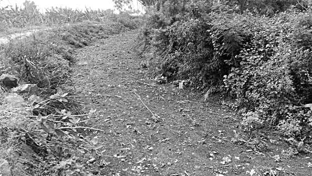 காவிரி ஆற்றில் சூறையாடப்பட்ட இயற்கை மணல் திட்டு: பாலைவனமாகும் 3,000 ஏக்கர் ஆயக்கட்டு பாசன நிலங்கள்